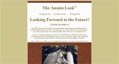 Desktop Screenshot of ansata.com